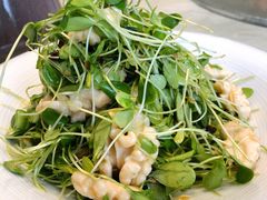 香椿苗拌桃仁-金百万(亦庄店)