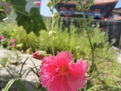 -翠矶山公园