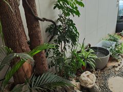 -纳地素食(石门公园店)
