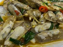 蛏子-长平肥姐白粥·海鲜打冷
