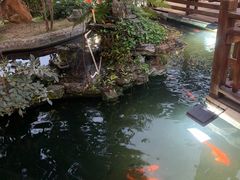 -麦园农庄·西江河鲜