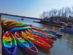 -上海海湾国家森林公园