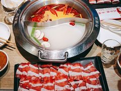-彤德莱火锅(商圣嘉源店)
