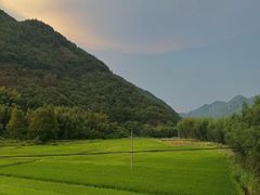 -白塔湖国家湿地公园