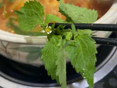-黔府豆米火锅野菜馆(南马店)