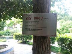 android_upload_pic-广州神农草堂中医药博物馆