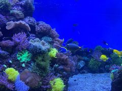 -成都浩海立方海洋公园