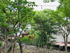 -不觉晓CAMPING(上海迪士尼营地店)