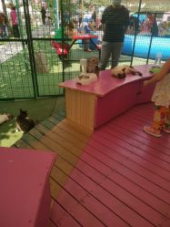 -萌宠亲子动物乐园(槐房万达店)