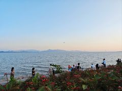 -深圳湾公园(南山区)