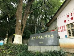 -马王堆汉墓遗址
