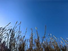-沙家浜风景区
