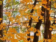 -长春市南湖公园