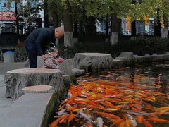 -温江公园