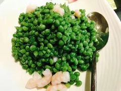 -西郊5号·Maggie 5
