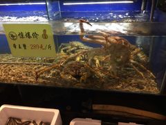 -宁海食府(大剧院店)