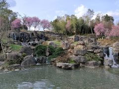 -秀丽东方