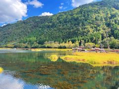 -腾冲北海湿地