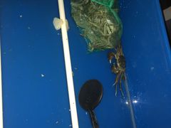 -星伦多自助料理(永旺店)