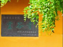 -灵谷景区
