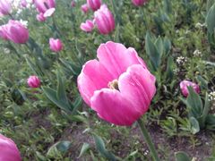 -长春公园(普阳街道)