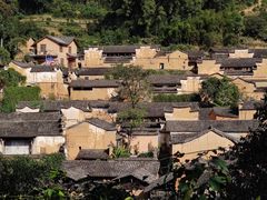 -杨家堂村