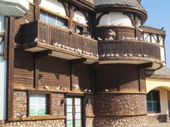 -沈阳方特欢乐世界