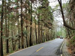 -潜山国家森林公园
