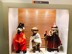 -济州岛泰迪熊博物馆