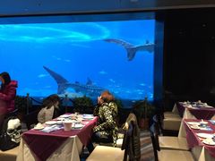 -雨林餐厅(长隆海洋王国店)