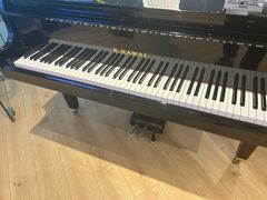 -柏斯音乐艺术中心·钢琴·吉他(世纪金源店)