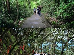 -光雾山旅游景区