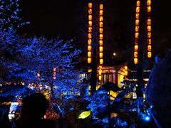 -东湖磨山景区樱花园-停车场