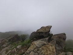 -北京鹫峰国家森林公园