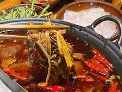 -阳阳老火锅(小南门店)