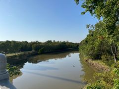 -上海海湾国家森林公园