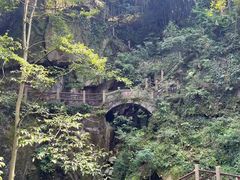 -莫干山风景区