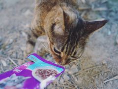 -苏州河梦清园环保主题公园