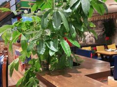 -后院犇牛主题餐厅(云岗店)