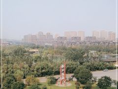-前关湿地公园