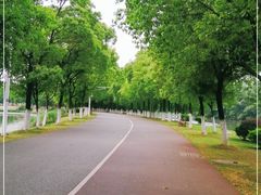 -艾溪湖湿地公园