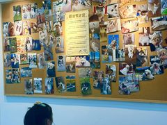 -翊宠yipet猫狗购宠庄园犬舍•猫舍