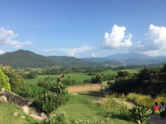 -黄色小屋
