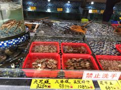 -顺德了能馆(虎门店)