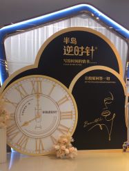 -美瑞莎创美医疗美容