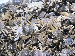 -聚盛源蒸汽海鲜火锅烤肉自助(巨川金海岸购物广场店)