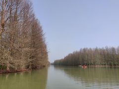 -上海海湾国家森林公园