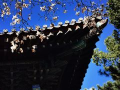 -红螺寺
