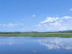 -野鸭湖国家湿地公园