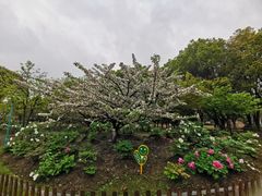 -江南大学(蠡湖校区)